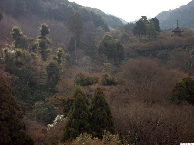 kyoto vue du temple kiyomisu